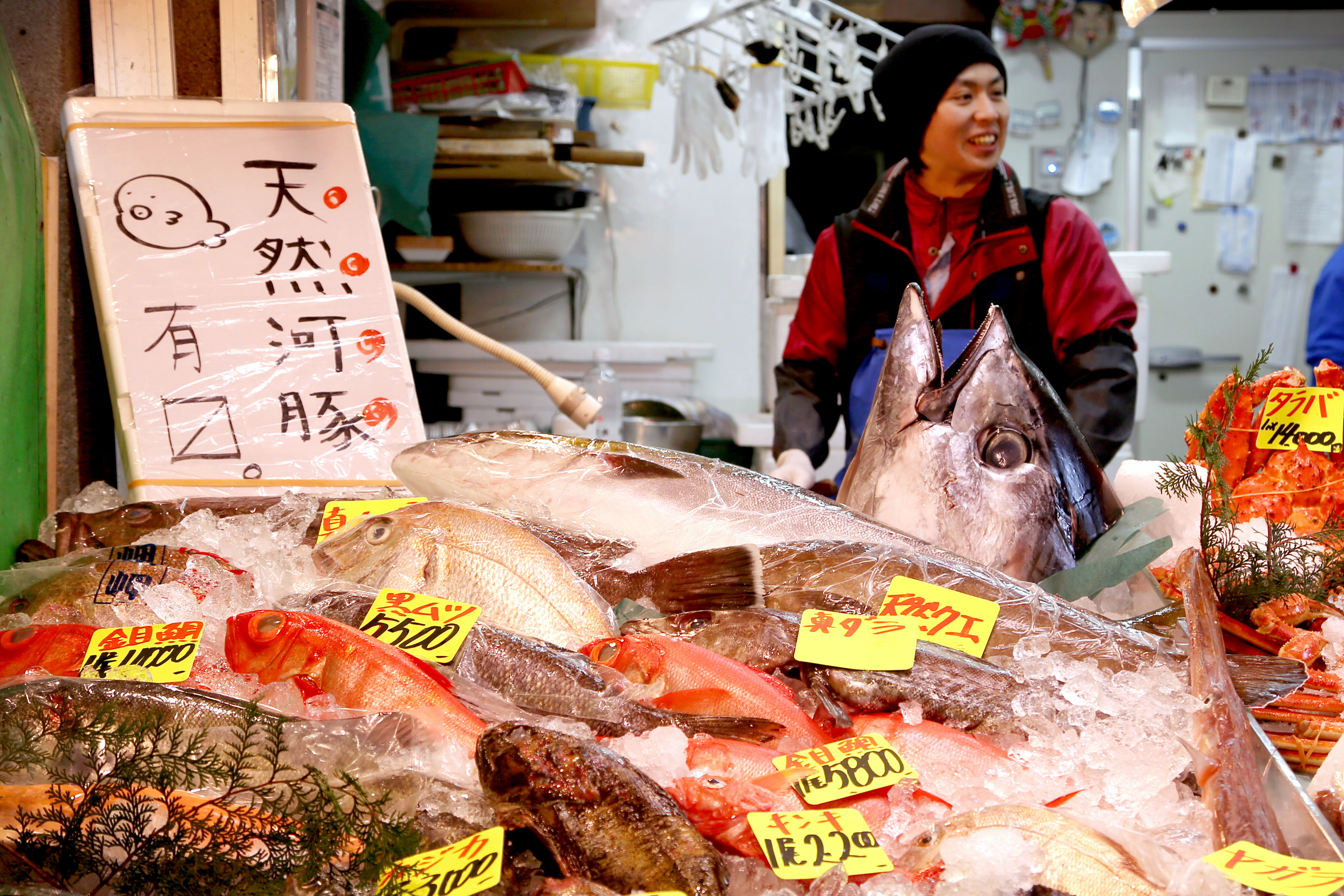 Seafood,Tsukiji Fish Market, Tokyo, Japan