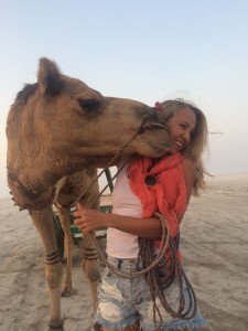 Camel Trek Rann of Kutch Salt Flats